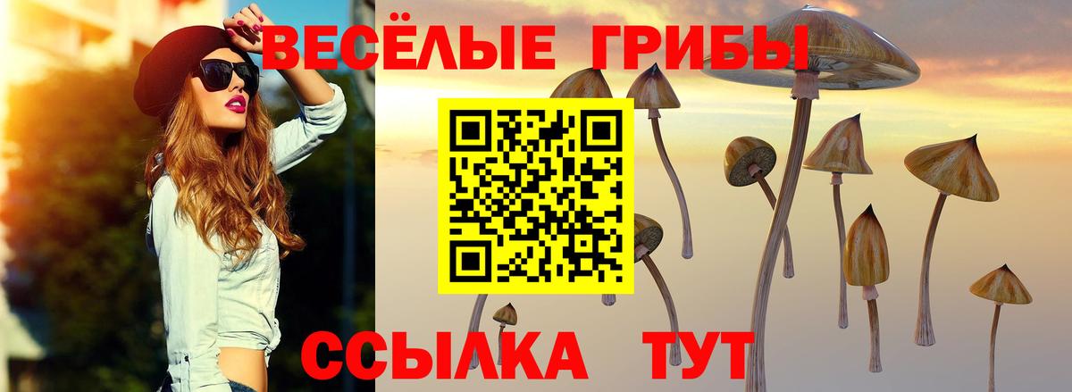 Псилоцибиновые грибы GOLDEN TEACHER Ахтубинск